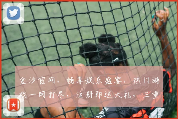 金沙官网，畅享娱乐盛宴，热门游戏一网打尽，注册即送大礼，三重惊喜等你来