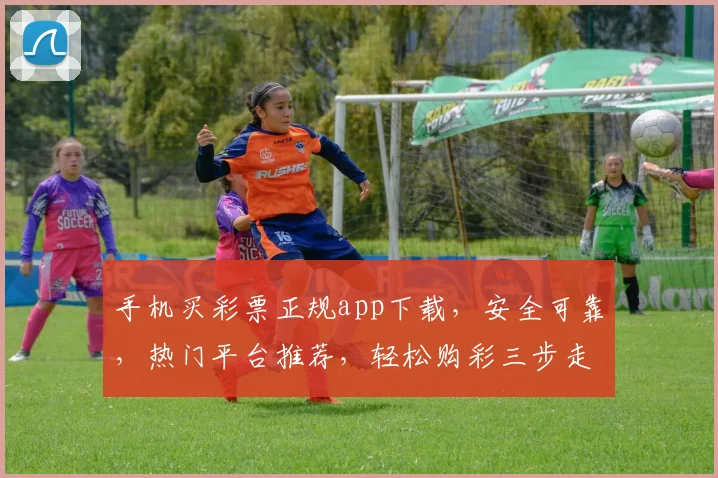 手机买彩票正规app下载，安全可靠，热门平台推荐，轻松购彩三步走，快来体验