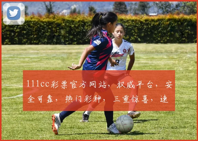 111cc彩票官方网站，权威平台，安全可靠，热门彩种，三重惊喜，速来体验